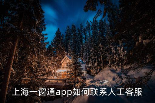 上海一窗通app如何聯系人工客服