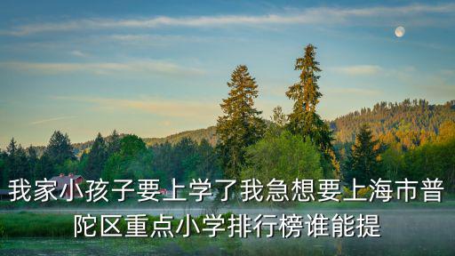 我家小孩子要上學了我急想要上海市普陀區重點小學排行榜誰能提