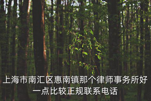 上海市南匯區(qū)惠南鎮(zhèn)那個律師事務(wù)所好一點(diǎn)比較正規(guī)聯(lián)系電話
