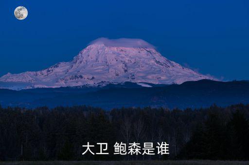 大衛鮑森舊約縱覽,聽大衛鮑森布道有幾個感受?