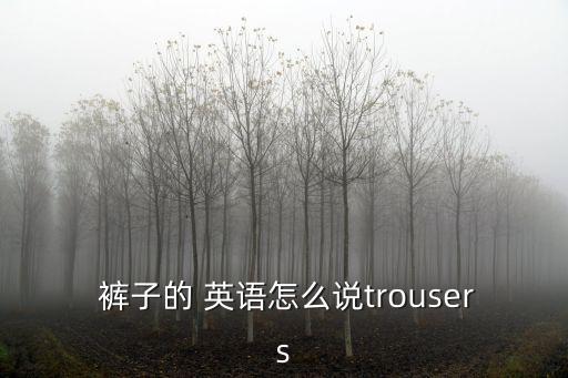 褲子英語,我起飛了褲子發音是褲子，褲子