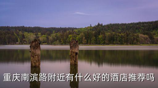 重慶南濱路附近有什么好的酒店推薦嗎