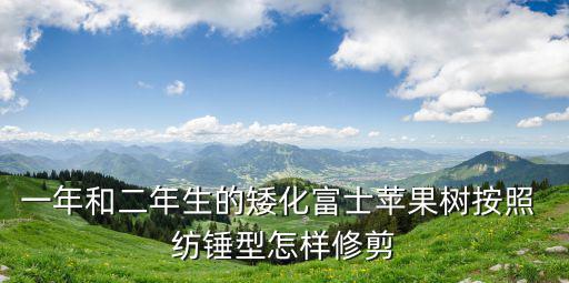 一年和二年生的矮化富士蘋果樹按照 紡錘型怎樣修剪