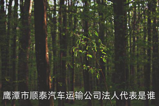 鷹潭市順泰汽車運輸公司法人代表是誰