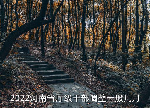2022河南省廳級干部調(diào)整一般幾月