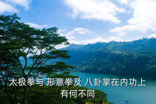 形意八卦掌,八卦掌、形意拳、拳擊《失落的武林》