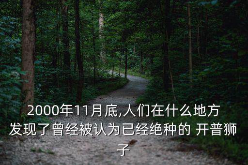 開普獅,世界最大獅子來自南非滅絕時間與斑相似