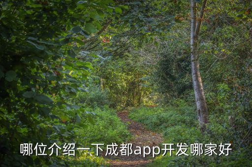 哪位介紹一下成都app開發哪家好