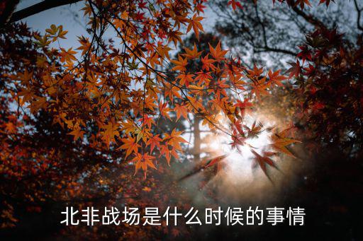 北非戰役,阿拉曼戰役成北非戰局轉折點德意聯軍傷亡5.9萬人