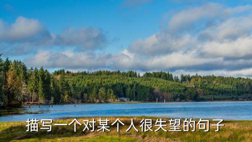 描寫一個(gè)對(duì)某個(gè)人很失望的句子