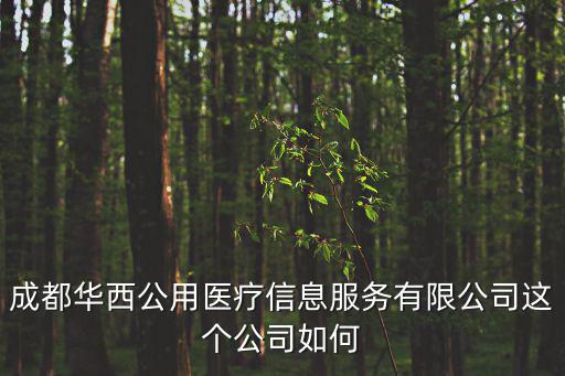 成都華西公用醫(yī)療信息服務(wù)有限公司這個(gè)公司如何