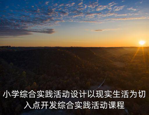 小學綜合實踐活動設計以現實生活為切入點開發綜合實踐活動課程
