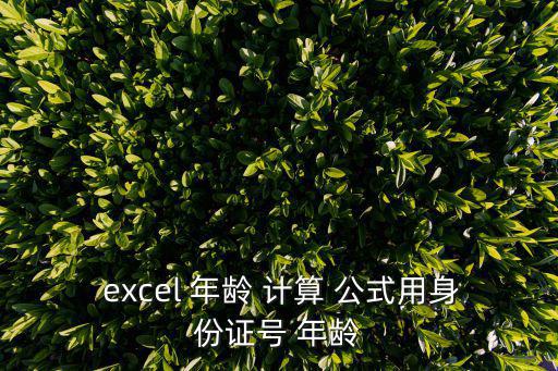  excel 年齡 計算 公式用身份證號 年齡