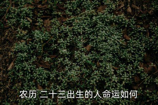 二十三,二十三月生人命運多變易與事業奮斗