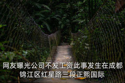 網(wǎng)友曝光公司不發(fā)工資此事發(fā)生在成都錦江區(qū)紅星路三段正熙國際