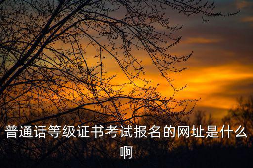 普通話等級(jí)證書考試報(bào)名的網(wǎng)址是什么啊