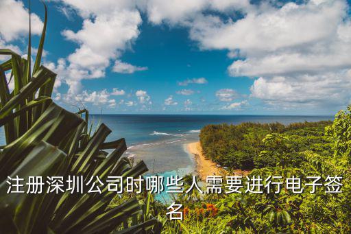 注冊公司電子簽名怎么弄，注冊公司網站核名時怎么進行電子簽名