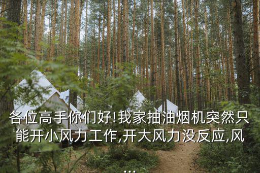 各位高手你們好!我家抽油煙機突然只能開小風力工作,開大風力沒反應,風...