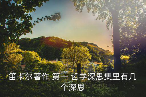 笛卡爾著作 第一 哲學(xué)深思集里有幾個深思