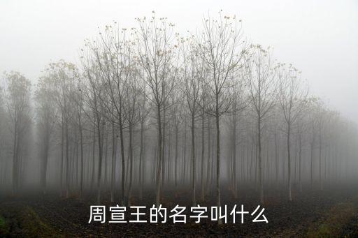 周宣王的名字叫什么