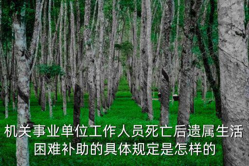 機關事業單位工作人員死亡后遺屬生活困難補助的具體規定是怎樣的