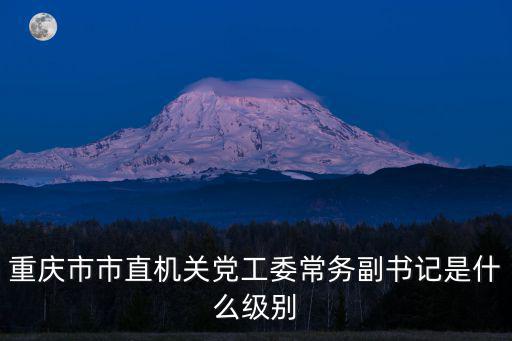 重慶市直機關(guān)工委 書記，想知道 重慶市 重慶市市直機關(guān)工委 在哪
