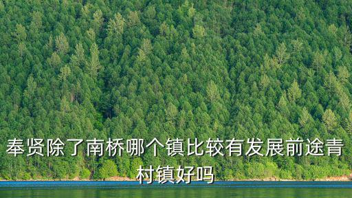 奉賢除了南橋哪個鎮(zhèn)比較有發(fā)展前途青村鎮(zhèn)好嗎
