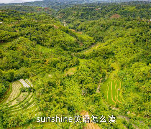 sunshine,一文讀懂!堅(jiān)毅向前預(yù)算案