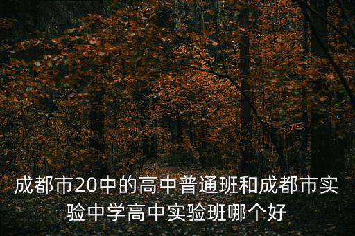 成都市20中的高中普通班和成都市實驗中學高中實驗班哪個好