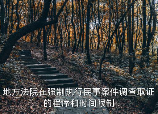 地方法院在強制執行民事案件調查取證的程序和時間限制