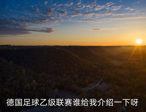 德國足球乙級聯(lián)賽誰給我介紹一下呀