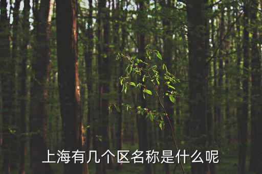 上海有幾個區(qū)名稱是什么呢