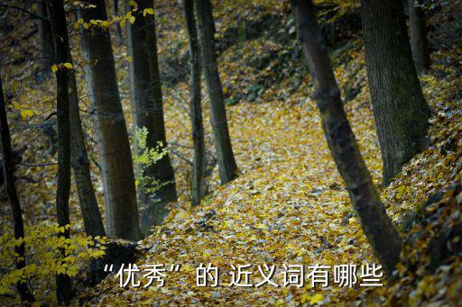 “優秀”的 近義詞有哪些