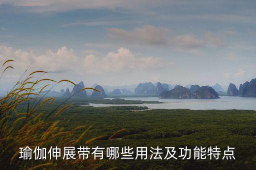 瑜伽伸展帶有哪些用法及功能特點(diǎn)