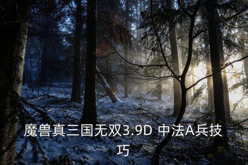 魔獸真三國無雙3.9D 中法A兵技巧