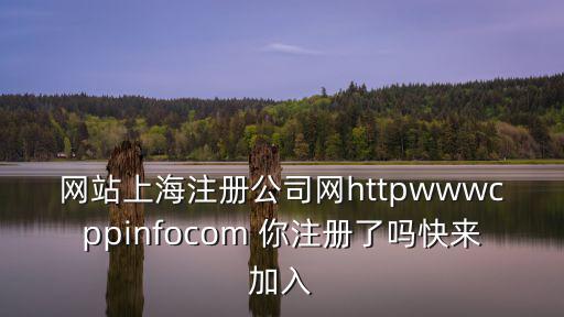 網站上海注冊公司網httpwwwcppinfocom 你注冊了嗎快來加入