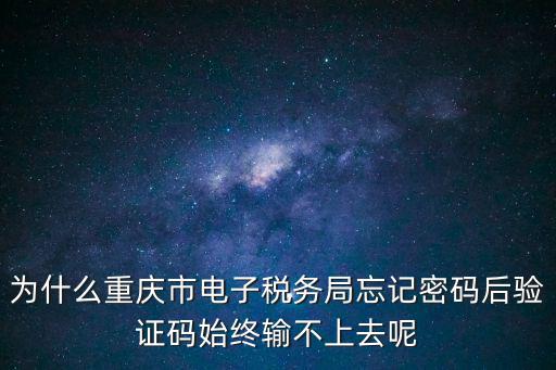 重慶市電子稅務局app，誰知道重慶市國家稅務局網上辦稅服務廳的網址是什么求大神幫助