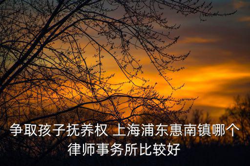 爭取孩子撫養(yǎng)權(quán) 上海浦東惠南鎮(zhèn)哪個律師事務(wù)所比較好