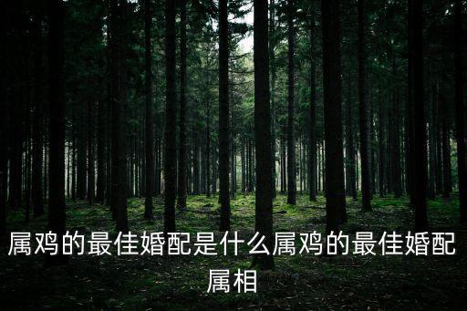 屬雞的最佳婚配是什么屬雞的最佳婚配屬相