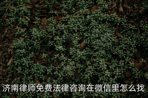 濟南律師免費法律咨詢在微信里怎么找