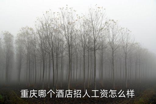 重慶哪個酒店招人工資怎么樣