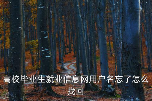 高校畢業生就業信息網用戶名忘了怎么找回