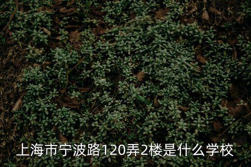 上海德閎國際雙語學校，上海市寧波路120弄2樓是什么學校