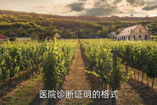 醫(yī)院診斷證明的格式