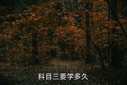 科目三要學多久，科3一般學幾天