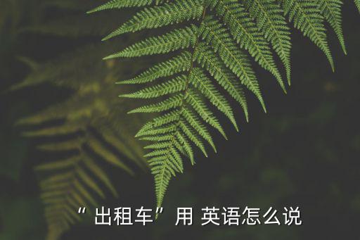 出租車英語怎么說,我不想坐出租車太貴了要一輛車送我去火車站