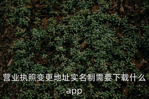 營(yíng)業(yè)執(zhí)照變更地址實(shí)名制需要下載什么app