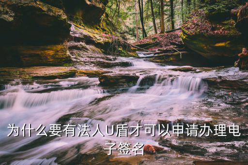 為什么要有法人U盾才可以申請辦理電子簽名