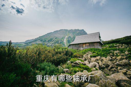重慶市銅瓦軸承，重慶農村商業銀行實時匯款跟跨行轉賬有區別嗎