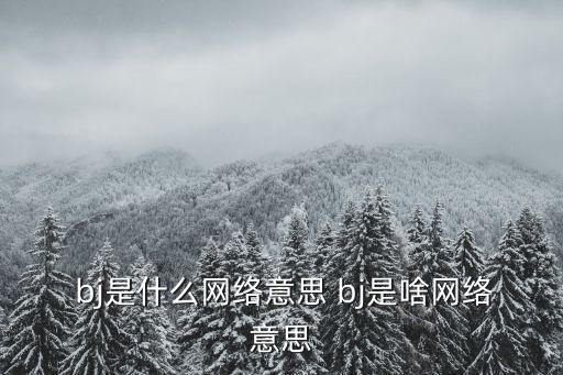  bj是什么網(wǎng)絡(luò)意思 bj是啥網(wǎng)絡(luò)意思